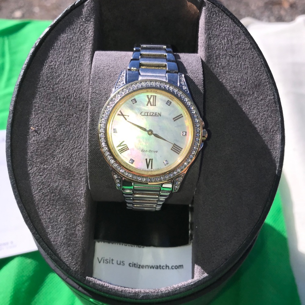 Citizen Echo Drive Watch